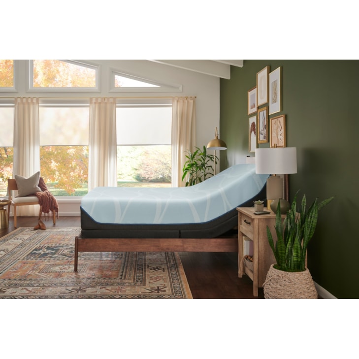 Tempur-Pedic® TEMPUR-Ergo® Queen Ergo® Foundation