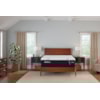 Tempur-Pedic® TEMPUR-Adapt® 2.0 Medium Hybrid TEMPUR-Adapt® Medium Hybrid Queen