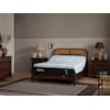 Tempur-Pedic® TEMPUR-ProAdapt® 2.0 Medium TEMPUR-ProAdapt® Medium Twin