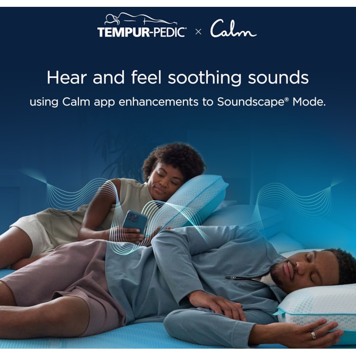 Tempur-Pedic® TEMPUR-Ergo® ProSmart™ Base Queen Ergo® ProSmart™ Base Foundation